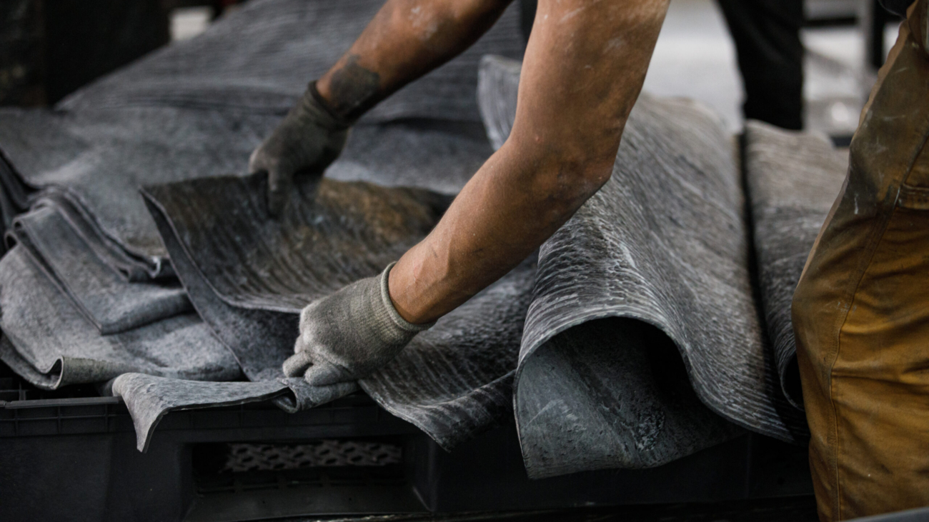 dewitz-american-phoenix-8331-scaled